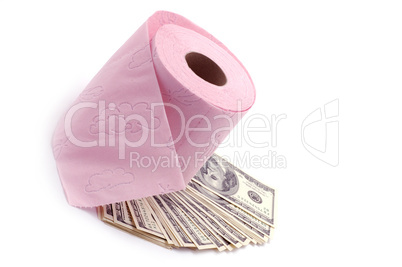 Still-life toilet paper with dollars