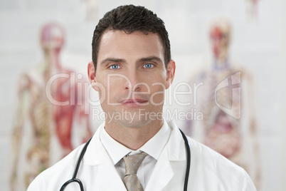 Male Doctor In Hospital With Human Anatomy Charts