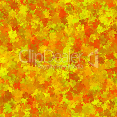 Multi-coloured autumn leaves