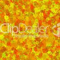 Multi-coloured autumn leaves