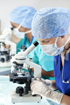 Female Scientific Research Team Using Microscopes in a Laborator