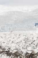 A Group Of Climbers on The Vatnajokull Glacier Iceland