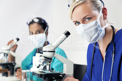 Female Scientific Research Team Using Microscopes in a Laborator