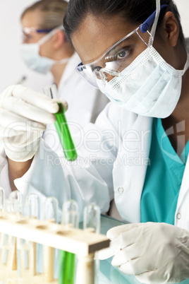 Scientific Research Team