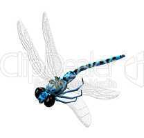 3D Dragonfly