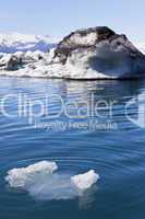 Melting Glacial Icebergs