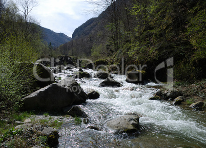 Mountain landscape with river, spring in Pyrenees