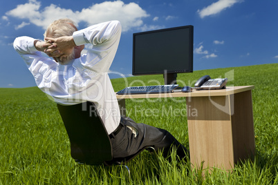 Businessman With Computer In A Green Field