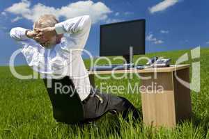 Businessman With Computer In A Green Field