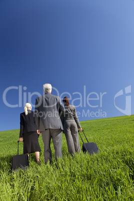 Business Travellers In A Green