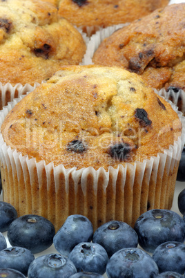 Blaubeermuffins