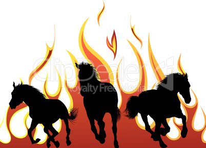 flame horses