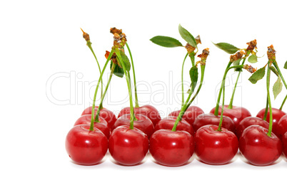 cherries