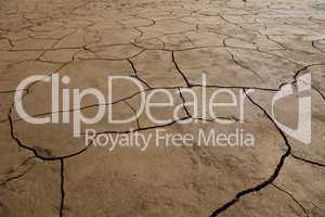 Dry Cracked Earth
