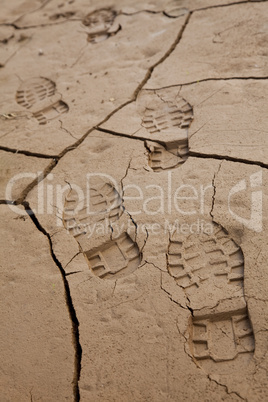 Footprints in Cracked Earth