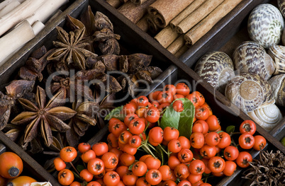 herbstliches im Setzkasten