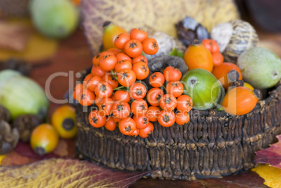 Herbstliches Stilleben