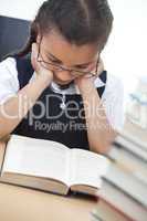 Young School Girl Reading A Book