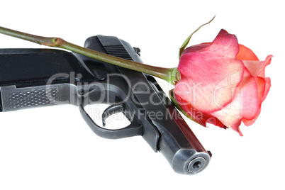 gun and rose
