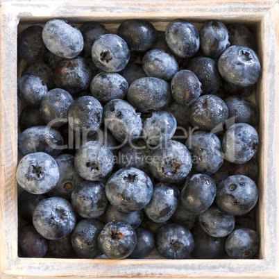 Blaubeeren