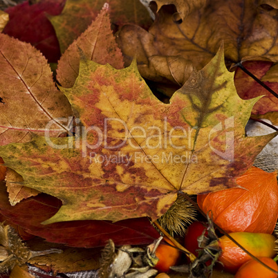 Herbst Stilleben