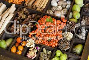 herbstliches im Setzkasten