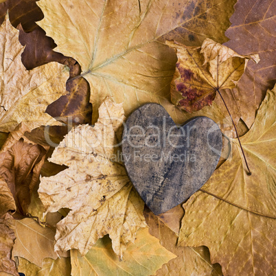 Herz im Herbstlaub