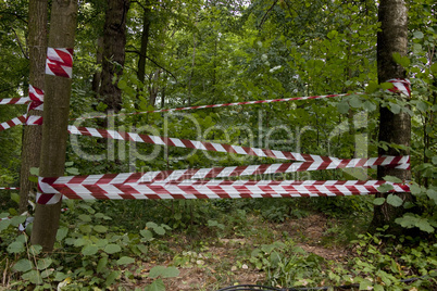 Danger tape between trees in forest