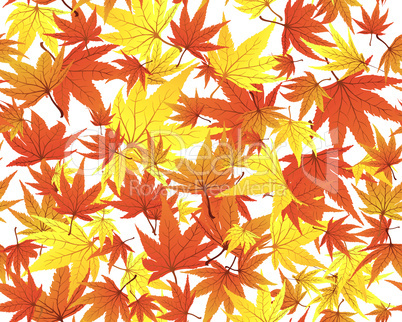 Maple seamless foliage