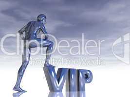 vip