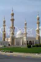 Mosque in UAE 8149