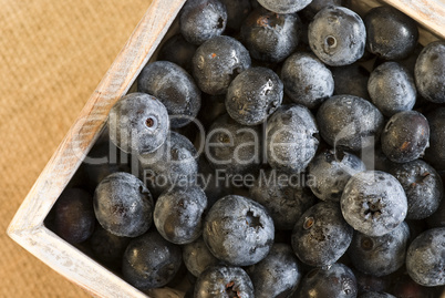 Blaubeeren