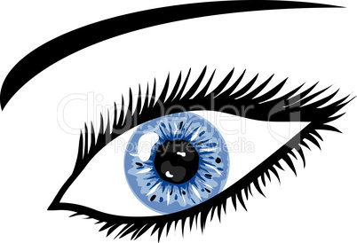 Blaugraues Auge mit Wimpern