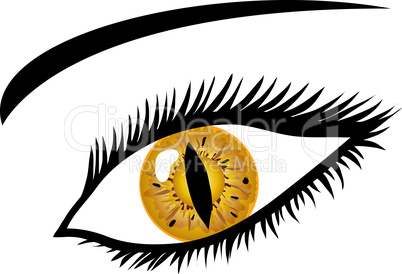 Goldenes Auge mit Tierpupille