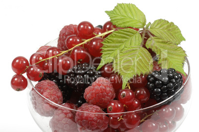 Beeren