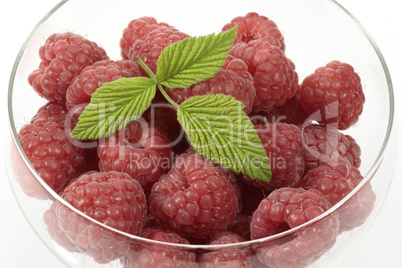 Himbeeren