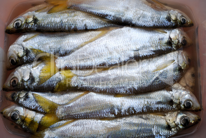 The salted fish-pelada