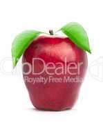 Red Apple with Green Leaf