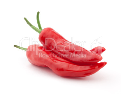 Red Pepper Chilli