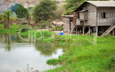 Rural landscape