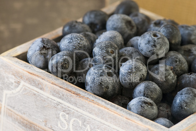 Blaubeeren