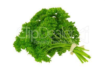 Petersilie - parsley 13