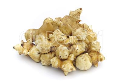 Topinambur - Jerusalem artichoke 02