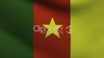 Cameroon Flag