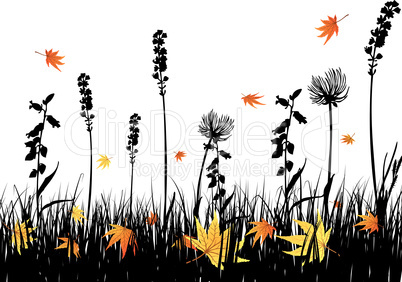 autumn meadow silhouettes