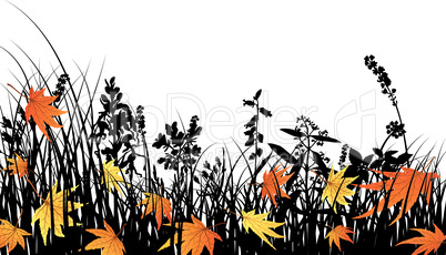 autumn meadow silhouettes