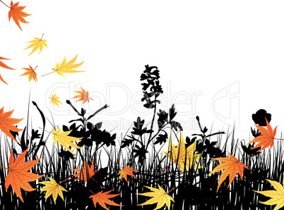 autumn meadow silhouettes