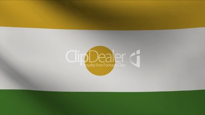 Niger Flag