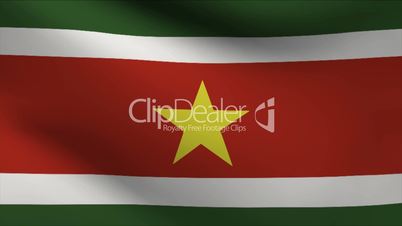 Suriname Flag