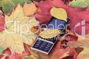 Mobile phone on autumn foliage